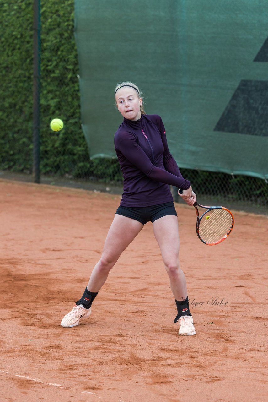 Bild 201 - NL VfL Westercelle - SVE Wiefelstede : Ergebnis: 8:1